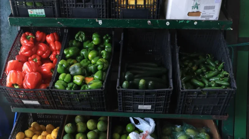Tips for Shopping at a Farmers Market and Making the Most of Your Purchases