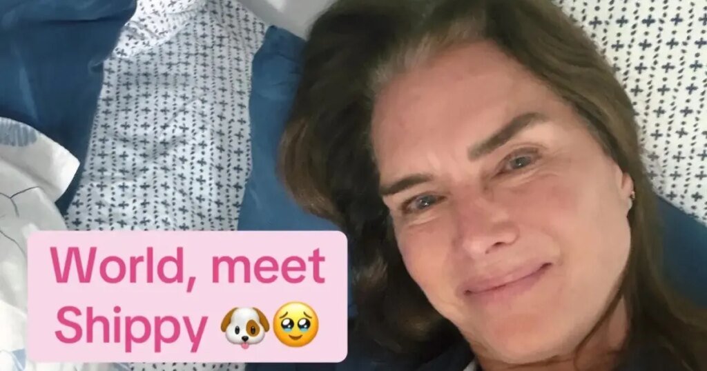 Brooke Shields Reveals Gray Roots After Being Teased by Her Daughter