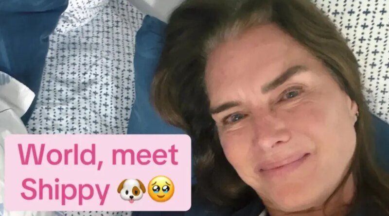 Brooke Shields Reveals Gray Roots After Being Teased by Her Daughter