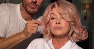 Martha Stewart Unveils 'Rose Gold' Hair, Moves On from Blonde Shade