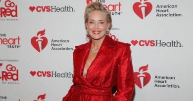 Sharon Stone's Brown Maxi Dress: The Ideal Wedding Attire