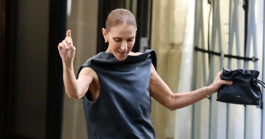 Celine Dion's $2,600 'Little Black Bag' Inspires a $28 Duplication