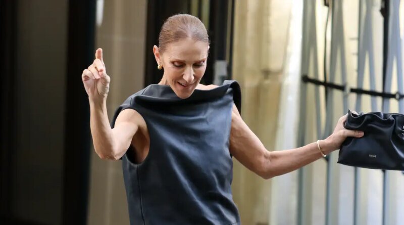 Celine Dion's $2,600 'Little Black Bag' Inspires a $28 Duplication