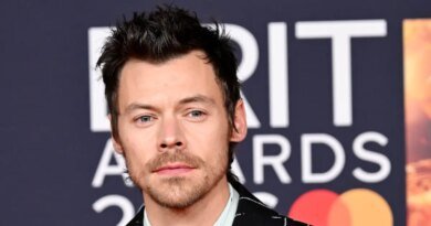 Harry Styles Delivers Heartfelt 9/11 Tribute During NYC Concert