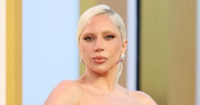 Lady Gaga Discusses Her Motherhood Priorities Ahead of Baby's Arrival
